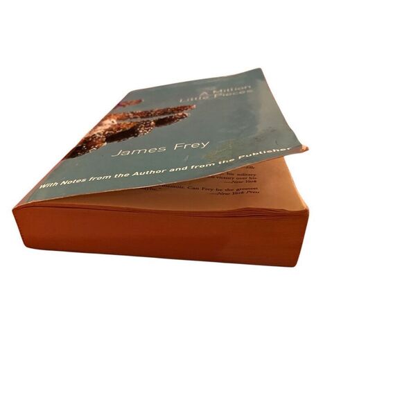 A Million a Little Pieces by James Frey Paperback Book 2003 - Picture 9 of 13